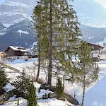 Appartement Spassvogel By Interhome Grindelwald