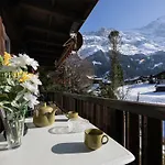 Appartement Spassvogel By Interhome Grindelwald