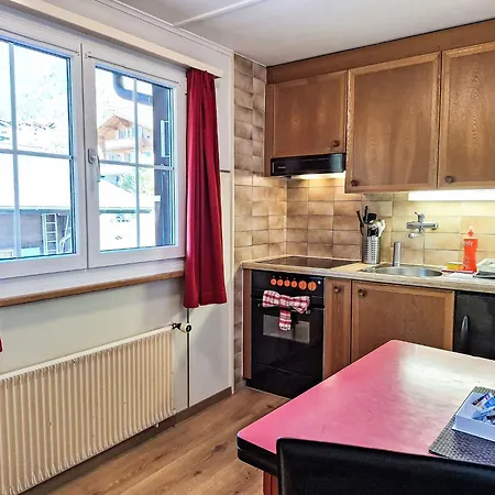 Spassvogel By Interhome Grindelwald