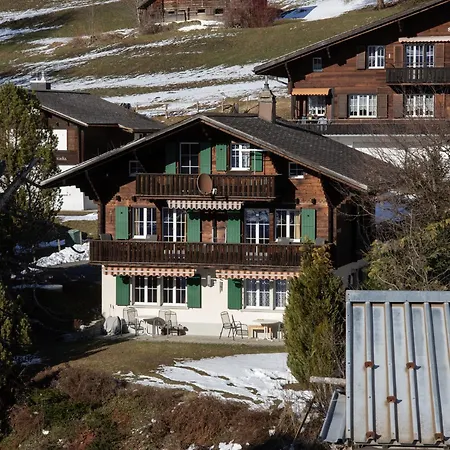 Spassvogel By Interhome Apartment Grindelwald