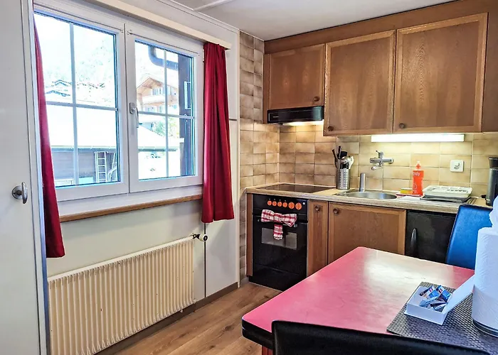 Spassvogel By Interhome Grindelwald