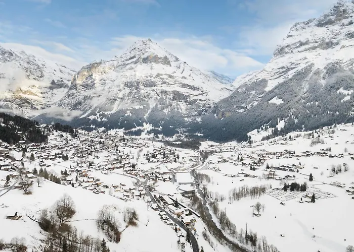 Spassvogel By Interhome Apartamento Grindelwald